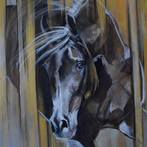 Equine serie , originalt akrylmaleri 50x40cm metalliske farger