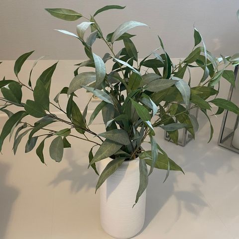 Silke Plante med Keramikk Vase Bohus