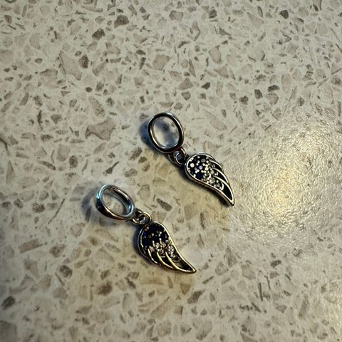 Pandora charms