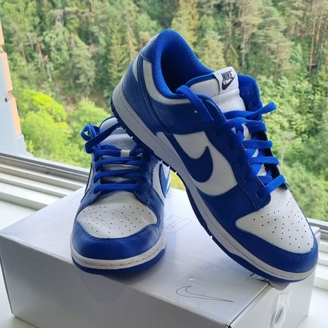 Nike dunk Kentucky blue (44)