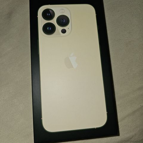 Iphone 13 pro eske