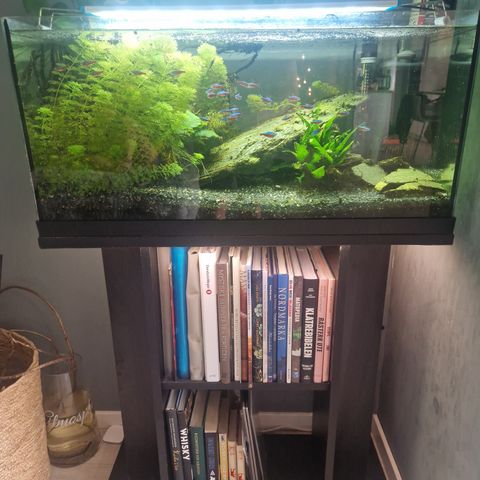 Akvarium 90Liter med alt av utstyr.