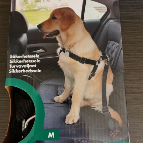 Sikkerhetssele / bilbelte til hund, str M