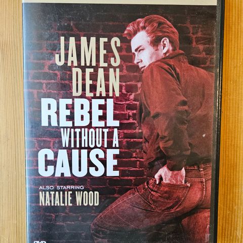 Rebel without a cause