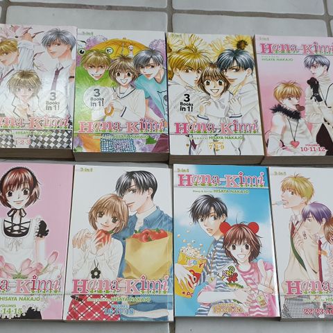 Hana-Kimi komplett manga