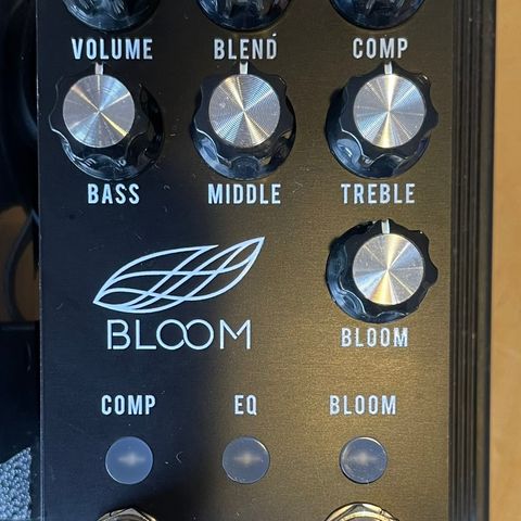 Jackson Audio Bloom v2