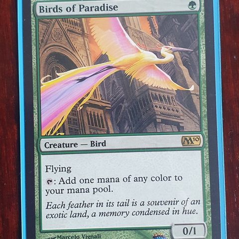 Magic the gathering kort. Birds of Paradise