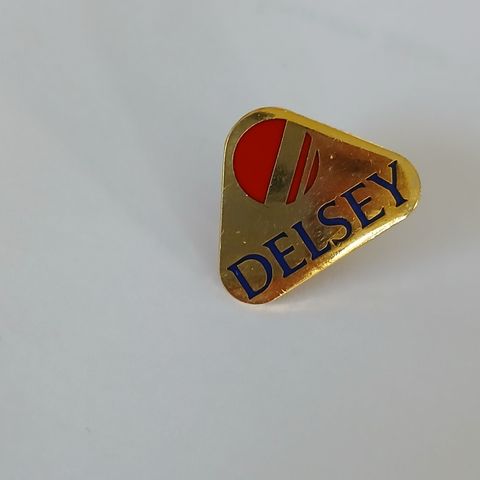 Delsey - Pins