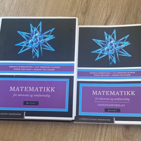 Matematikk for økonomi og samfunnsfag