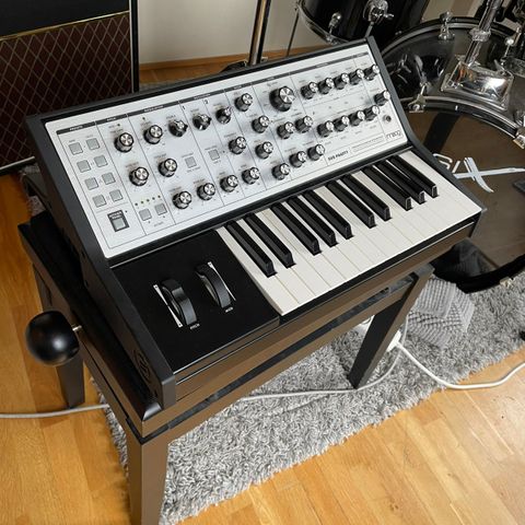 Moog sub phatty med bag