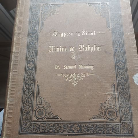 Ægypten og Sinai, Ninive og Babylon,Manning, Samuel,1887