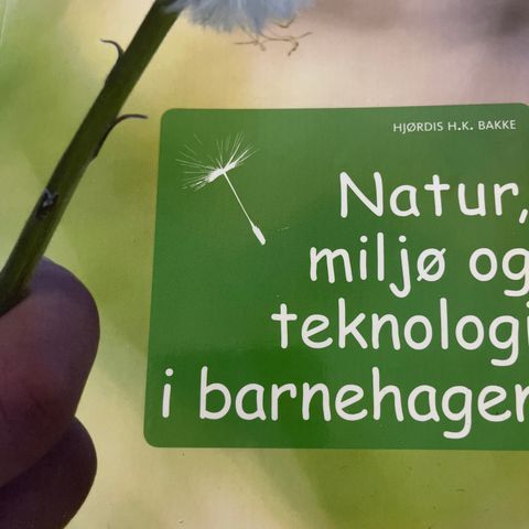 Natur, miljø og teknologi i barnehagen