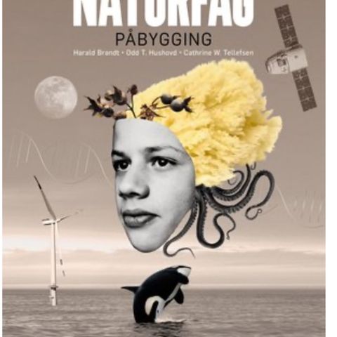 Naturfag påbygging