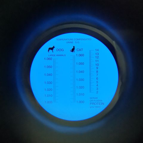 Refraktometer Urin SG og Serum Protein (Katt / Hund)