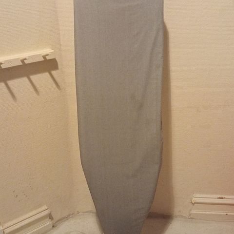 Iron and Ironing Board