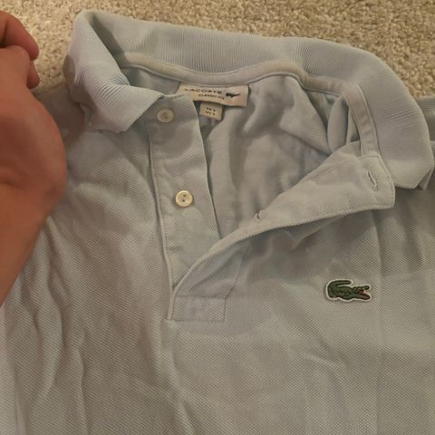 Lacoste picue