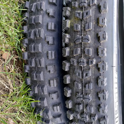 MAXXIS DHF + AGGRESSOR, 29x2.5" ENDURO DEKK