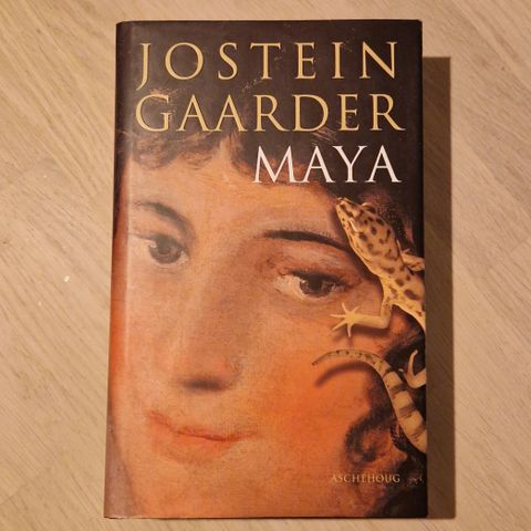 Maya, Jostein Gaarder