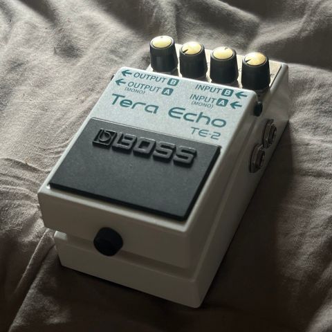 Boss Tera Echo TE-2