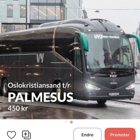 Bussbillett til palmesus