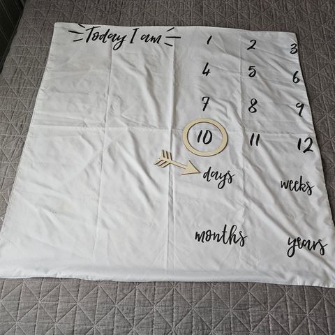 Baby photo blanket