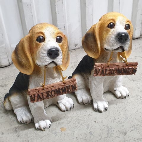 Beagles: "Välkommen"