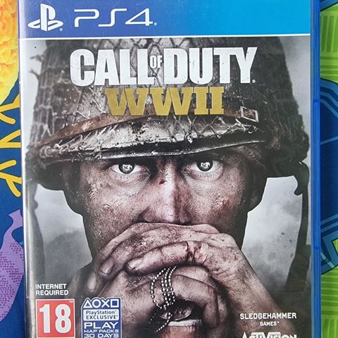 Call of Duty WWII PS4/PS5