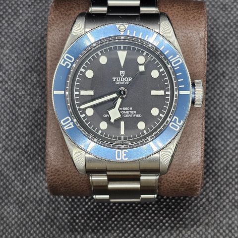 Tudor black bay 41