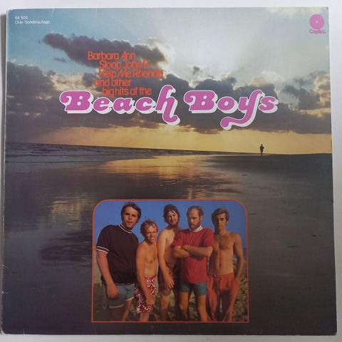 BEACH  BOYS  /  2 lp