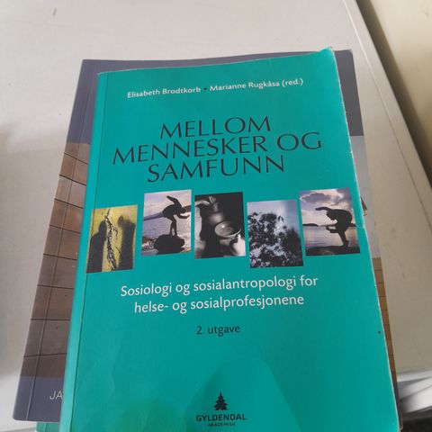 Mellom mennesker og samfunn. ISBN: 9788205388239