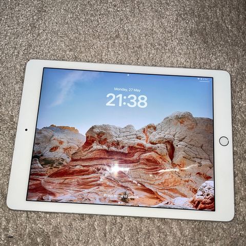 iPad  pro (9.7-inch)