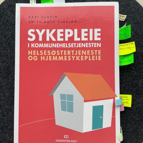 Sykepleie i kommunehelsetjenesten, helsesøstertjenesten og hjemmesykepleie