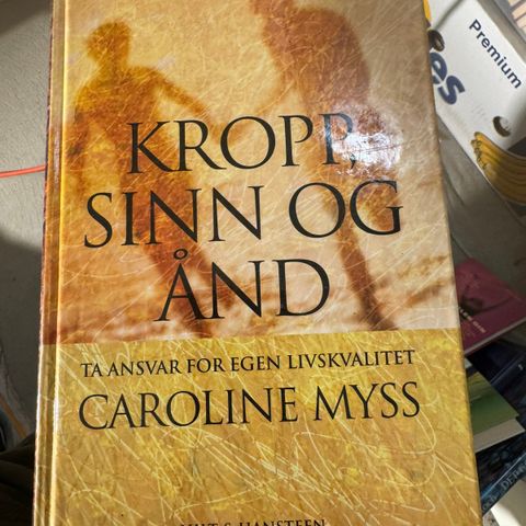 Kropp , sinn og ånd