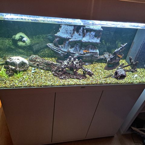 Juwel Akvarie 180l