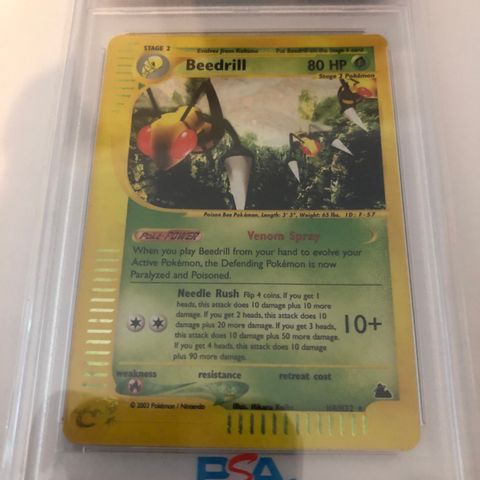 Pokemon Beedrill Holo Skyridge PSA 9