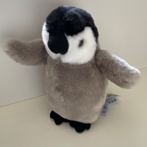 Pingvin bamse, Nature Planet