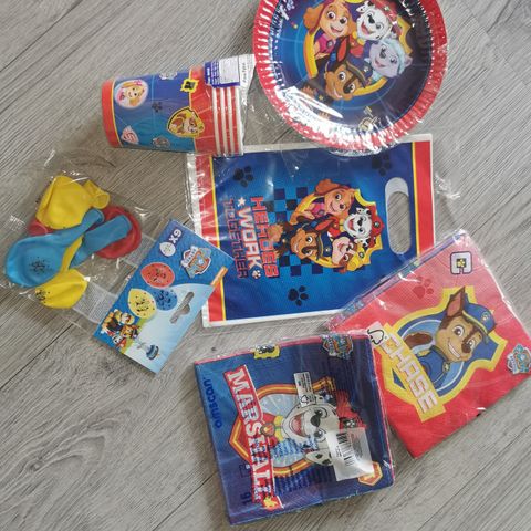 Ubrukt Paw Patrol bursdagspynt