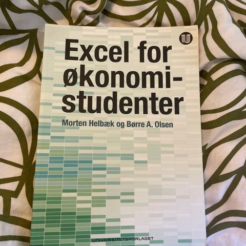 Excel for økonomistudenter