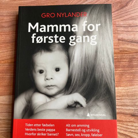 Mamma for første gang av Gro Nylander