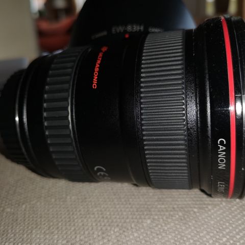 Canon 17-40mm  ultra sonic f4