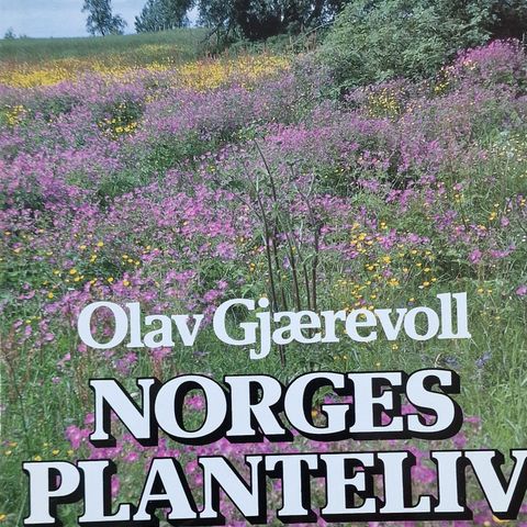 Norges planteliv - Fra Sørlandsskjærgård til Svalbardtundra