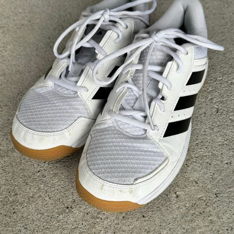 Adidas Ligra 7 innesko str 40 2/3