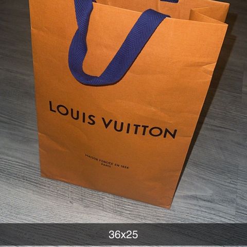 Louis vuttion pose 36x25