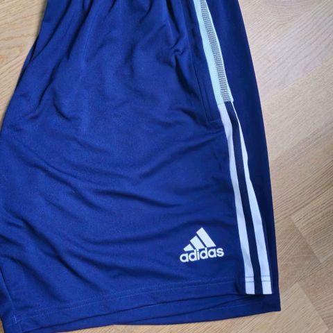 Afidas shorts