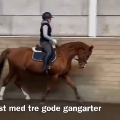Annonsebilde