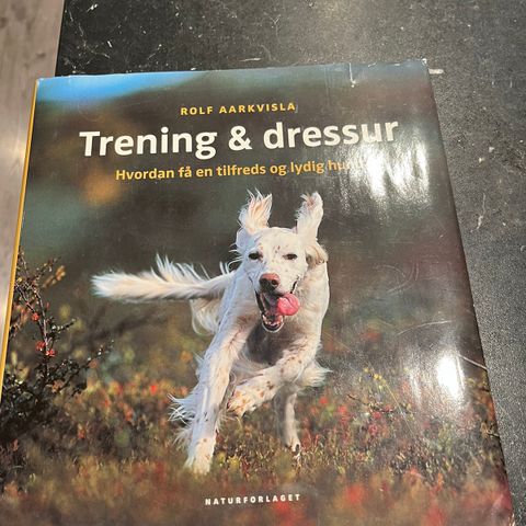 Rolf Aarkvisla, Trening og dressur, hvordan få en lydig og tilfreds hund