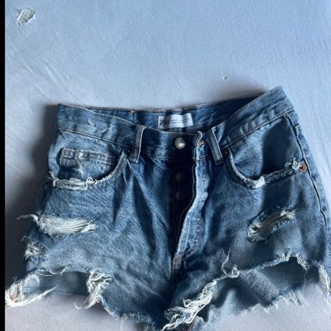 Zara Shorts