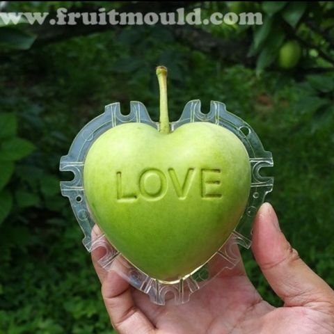 Apple shaping mould / epleform