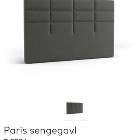 Paris sengegavl, Svane