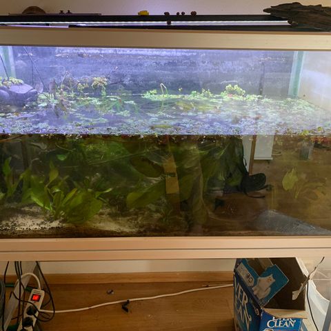 200 liter akvarium